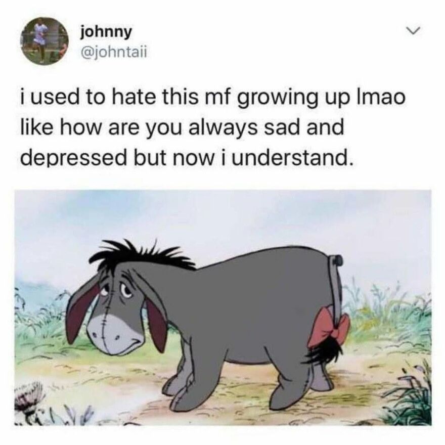 A meme for '90s babies' showing Eeyore, the sad donkey character, reflecting on growing up.