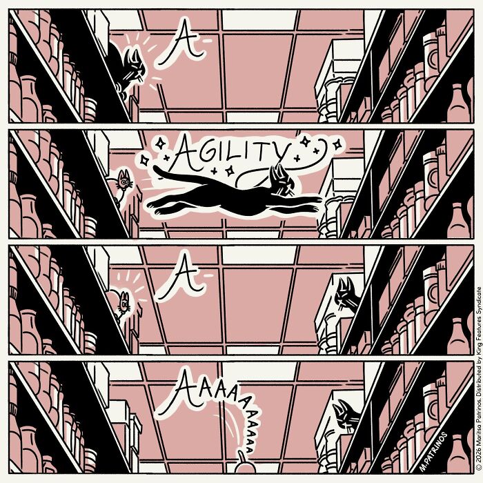 Cartoonist imagines cats with jobs, a black cat shows agility, jumping between shelves in a four-panel comic.