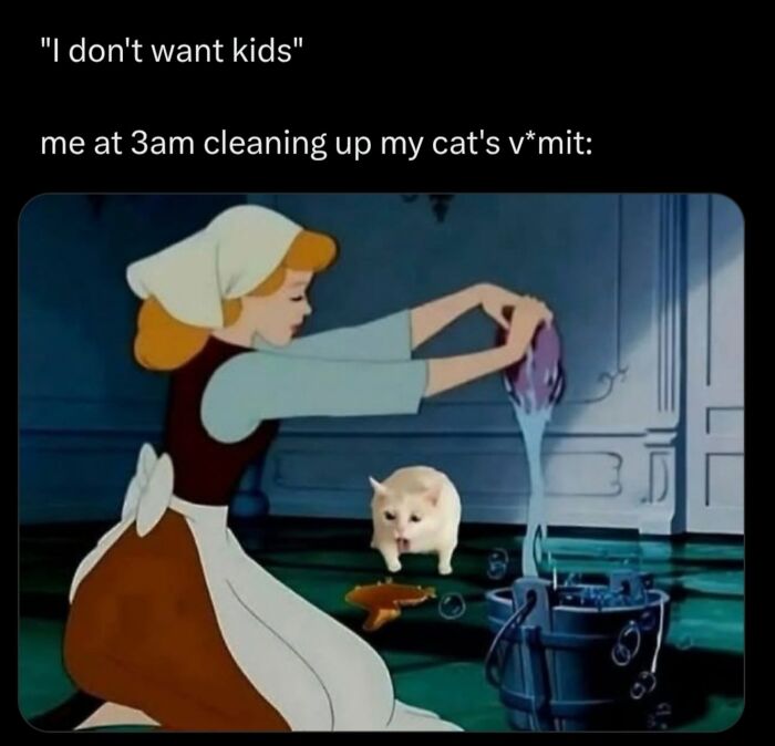50 Cat Memes That Perfectly Capture Why Living With Cats Is Equal Parts Chaos And Comedy