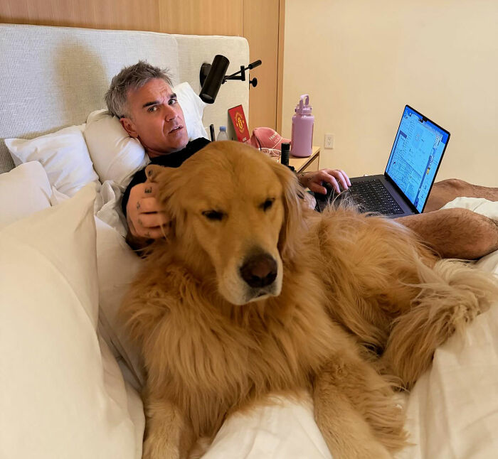 Robbie Williams World Cup moment: Robbie Williams in bed with a dog, working on a laptop. Robbie Williams World Cup moment: Robbie Williams in bed with a dog, working on a laptop.