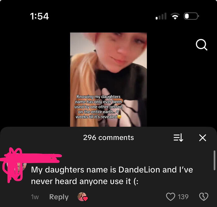 A social media screenshot showing a comment about the unique and abominable name DandeLion for a daughter.