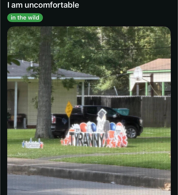 A lawn decorated with yard signs, one spelling out TYRANNY, an example of unusual things parents might display.