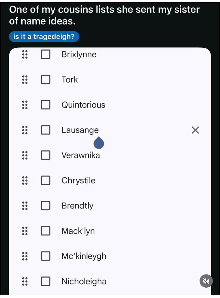 A list of checkbox items displaying funny and strange name ideas like Brixlynne and Lausange, showcasing unusual names.