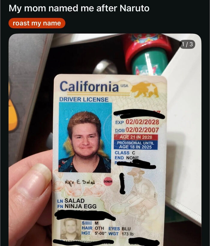 A close-up of a California driver's license with the funny name Ninja Egg Salad, highlighting a ridiculous name.