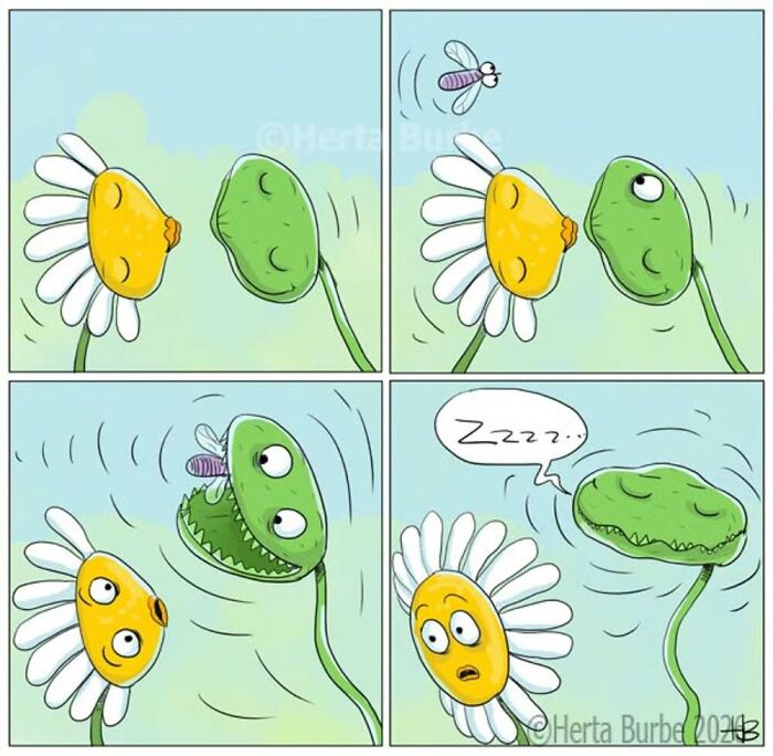 A comic by Herta Burbė showing a flower trying to pollinate a Venus flytrap, which then eats a fly.