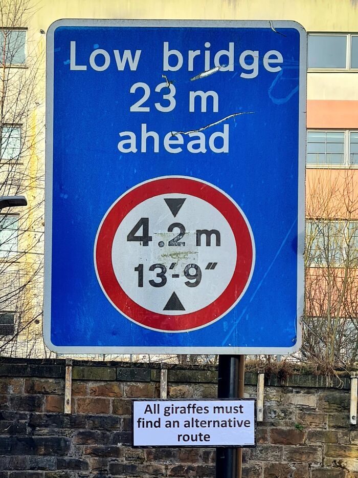 An absurd sign beneath a low bridge warning giraffes to find an alternative route.