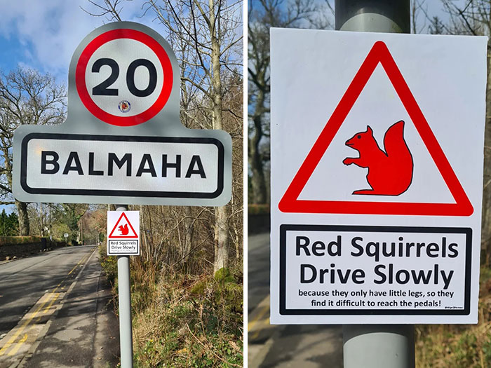 Absurd signs: Road signs in Balmaha, one warns drivers to drive slowly for red squirrels.