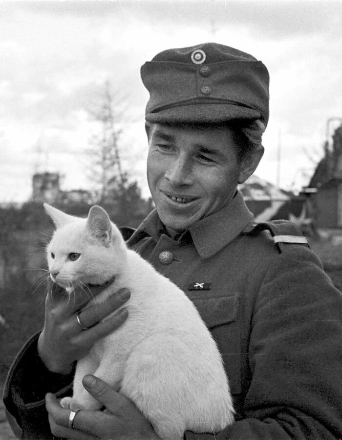 30 More Vintage Cat Photos That Prove Our Love For Cats Hasn't Changed In Over A Century