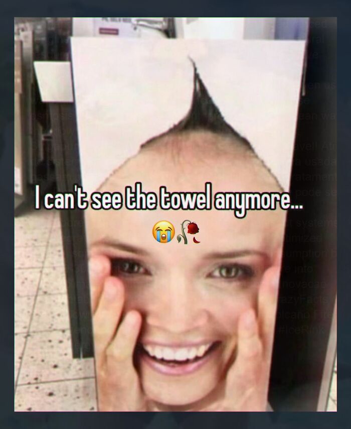 A weird meme showing a woman's face printed on a tall object, making it appear as if she has a tall hairstyle.