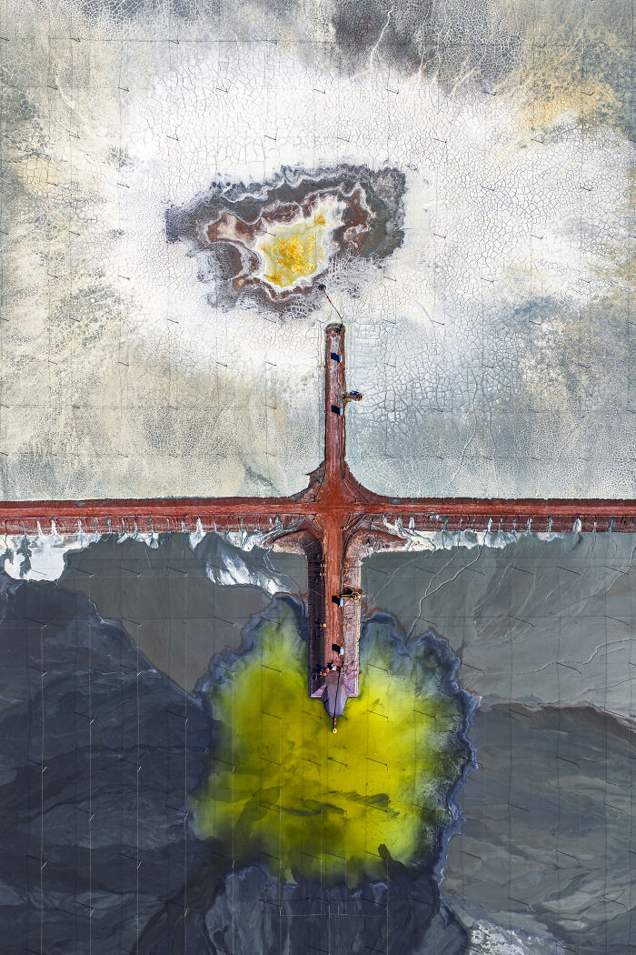 “Primordial” By Mark Gray
