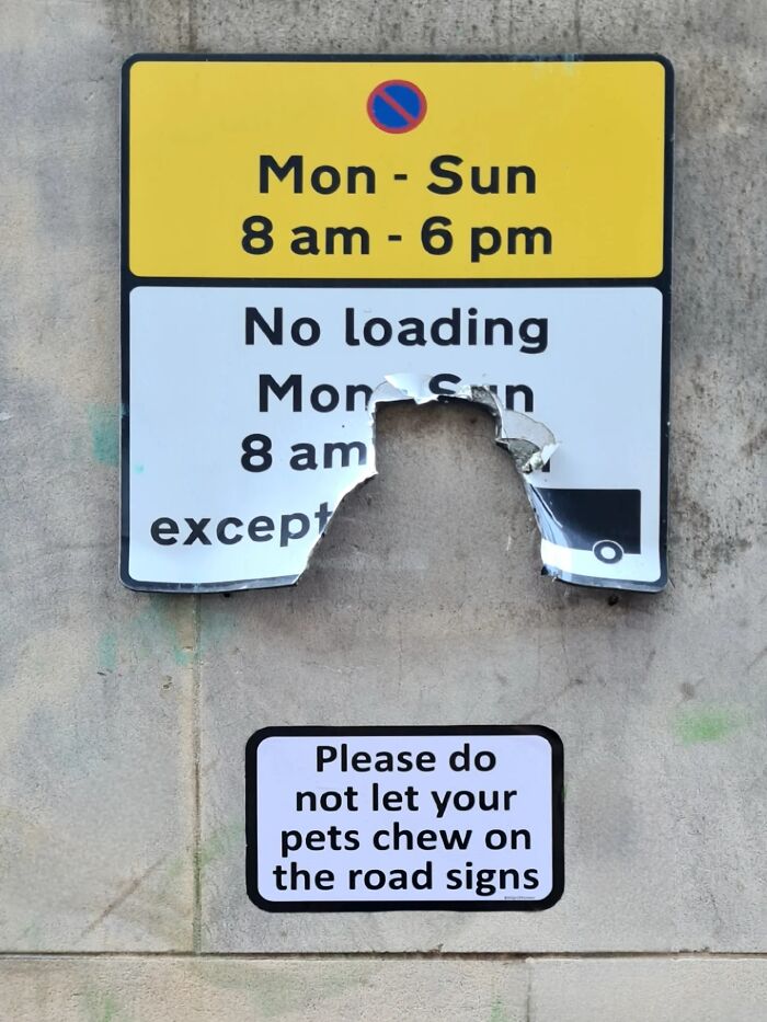 An absurd sign with a torn section and a warning not to let pets chew on road signs.