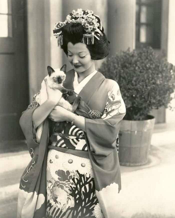 30 More Vintage Cat Photos That Prove Our Love For Cats Hasn't Changed In Over A Century