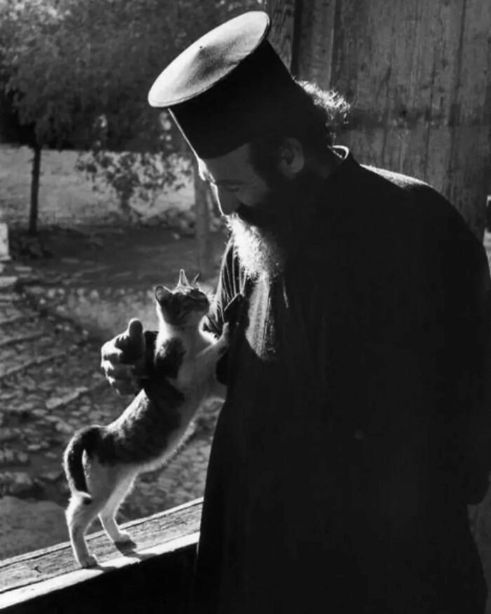 30 More Vintage Cat Photos That Prove Our Love For Cats Hasn't Changed In Over A Century