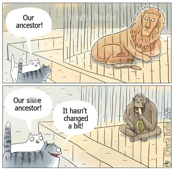 A comic by Herta Burbė showing cats admiring a lion as their ancestor, then shaming a monkey ancestor.