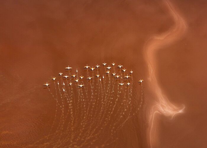 Aerial photographer captures a flock of flamingos flying over a reddish-brown body of water, making beautiful trails.