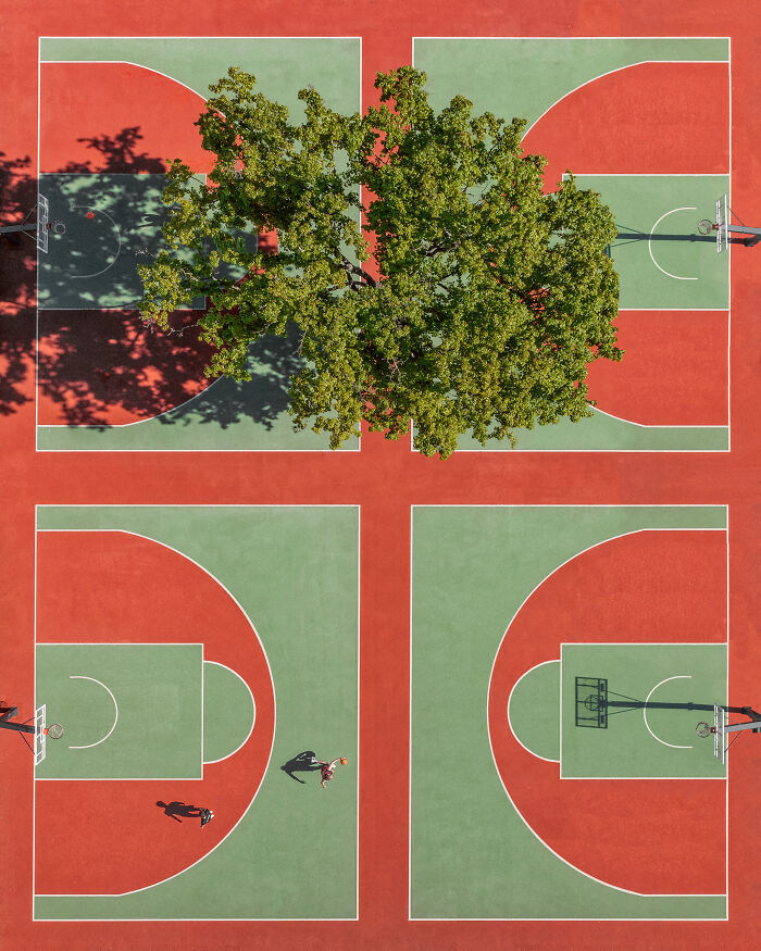 An aerial photograph of four red and green basketball courts separated by a large, leafy tree, awarded at the 2026 competition.