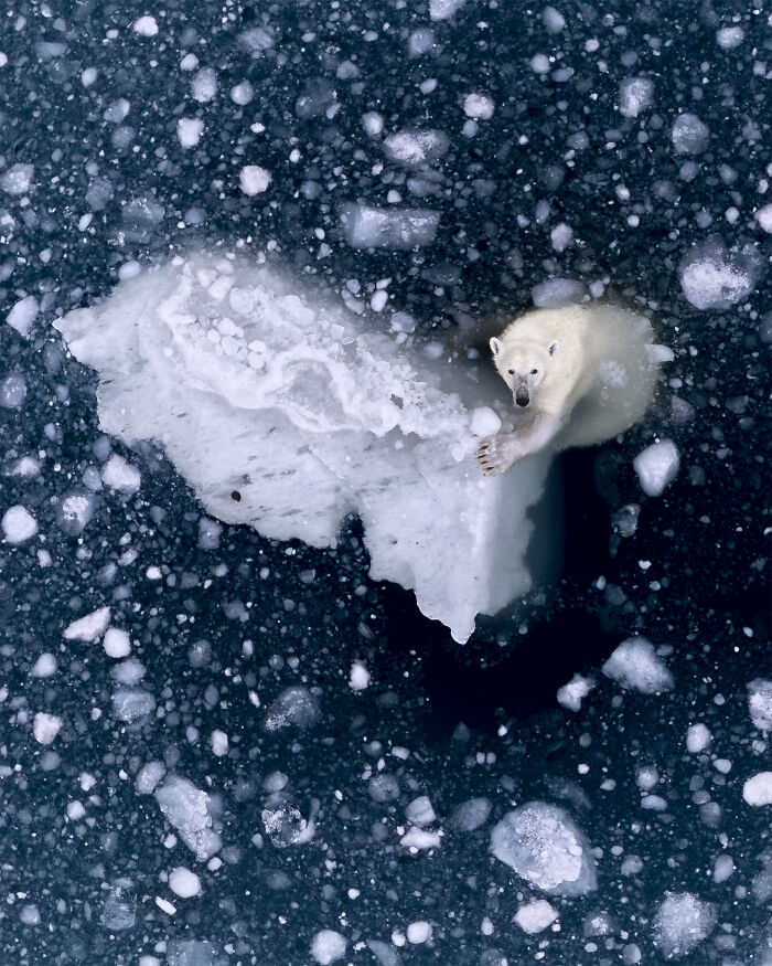 “Holding On” By Rhiannon Lawler