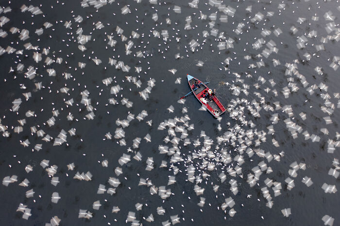 A small boat amidst numerous floating white objects on dark water, an aerial photographer award photo.