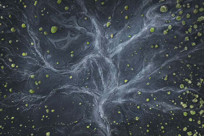 An award-winning aerial photograph showcasing a dark landscape with scattered green vegetation and intricate natural patterns.