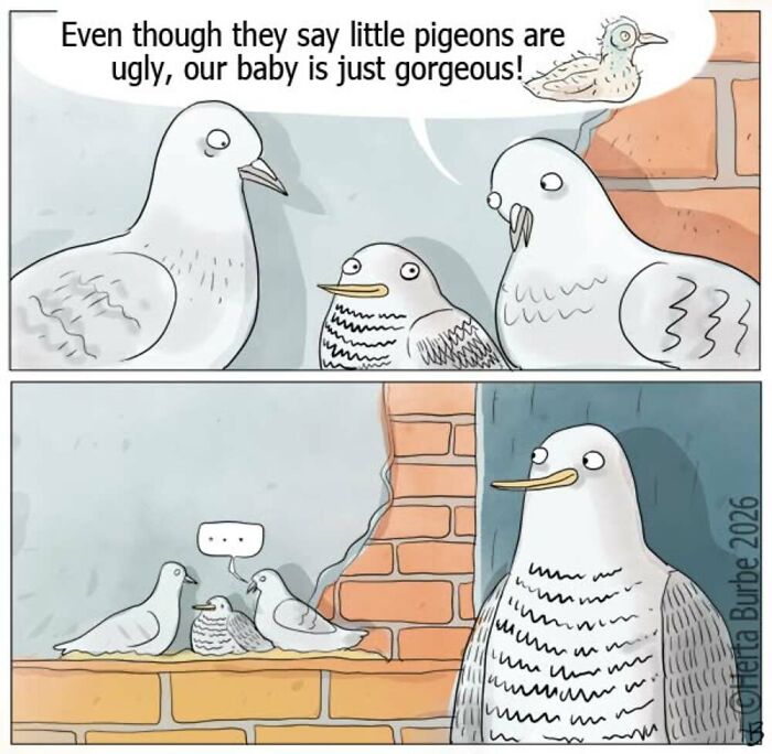 A comic by Herta Burbė depicting pigeons admiring their 'gorgeous' baby, which is actually a seagull.