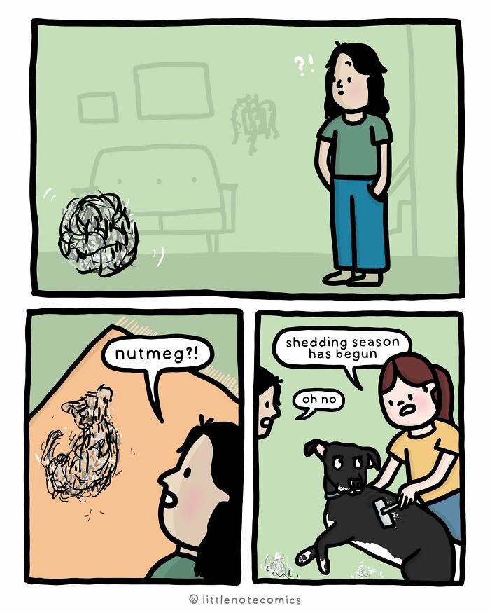 A comic illustrating relationship quirks, showing a dog shedding a lot of fur, surprising its owner.