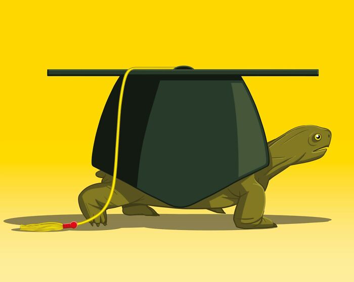 Illustration by Stephan Schmitz depicting a tortoise wearing a graduation cap, representing the slow progress of change in academic institutions.