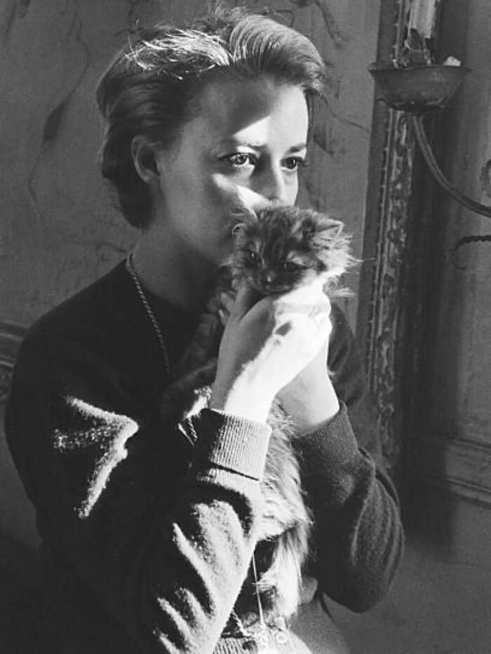 30 More Vintage Cat Photos That Prove Our Love For Cats Hasn't Changed In Over A Century