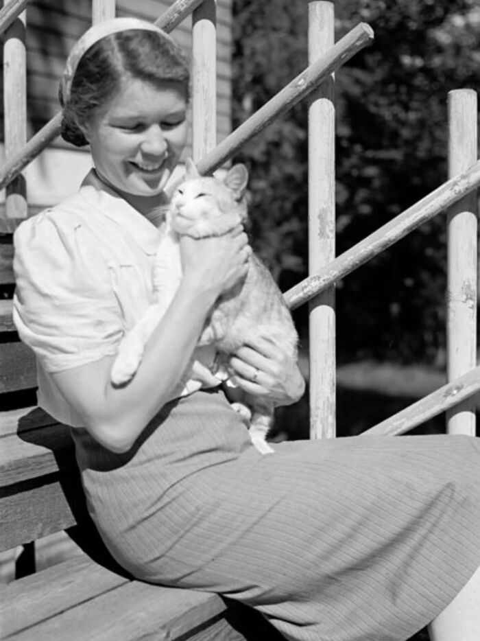 30 More Vintage Cat Photos That Prove Our Love For Cats Hasn't Changed In Over A Century