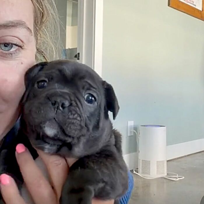A cute dog pic of a woman holding an adorable black puppy with big, round eyes.