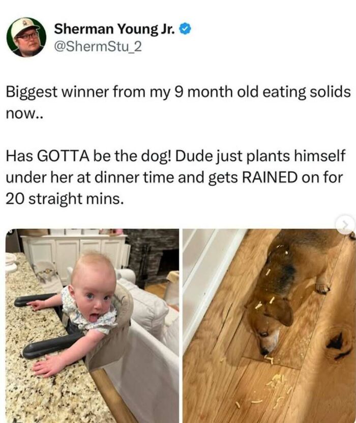 This Facebook Page Shares The Funniest And Cutest Animal Memes On The Internet, And Here Are 50 Of The Best Ones