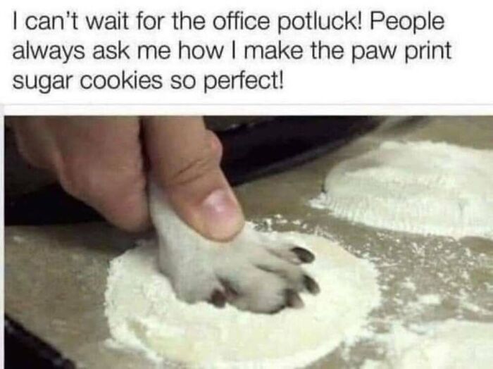 This Facebook Page Shares The Funniest And Cutest Animal Memes On The Internet, And Here Are 50 Of The Best Ones