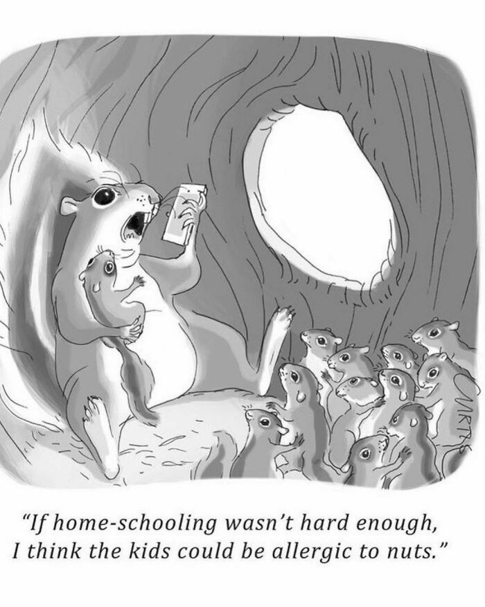 50 Clever One-Panel Comics By Kate Curtis That Turn Everyday Moments Into Brilliant Laughs