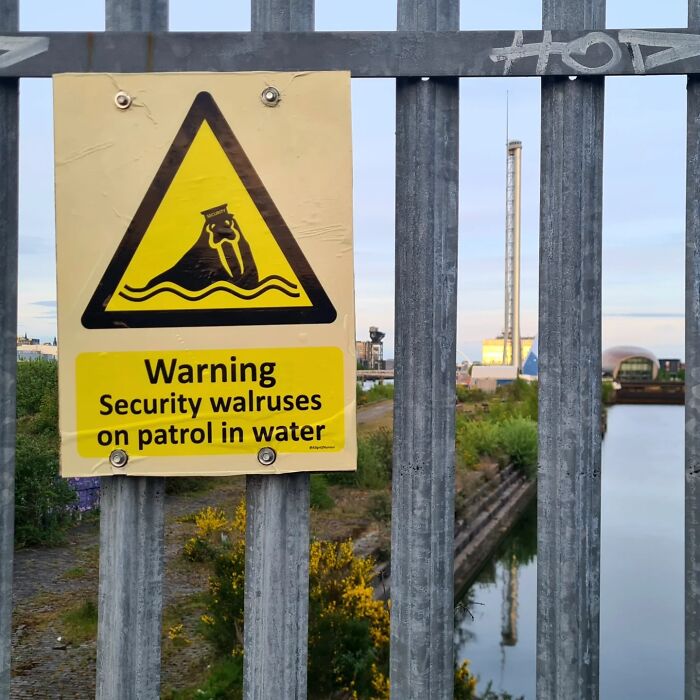 Absurd signs: A brilliant artist created a sign warning about security walruses on patrol in water.