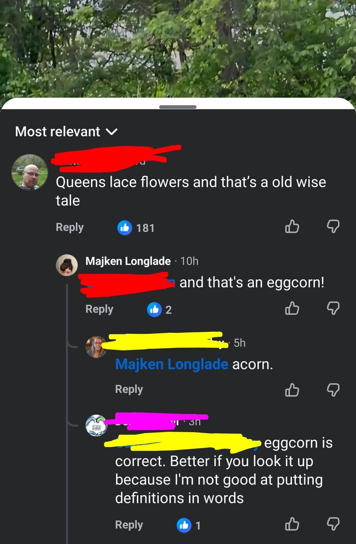 A screenshot showing multiple social media comments where people correct each other, showcasing know-it-alls.