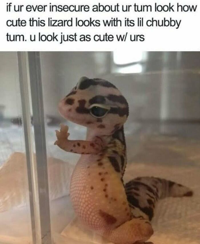 This Facebook Page Shares The Funniest And Cutest Animal Memes On The Internet, And Here Are 50 Of The Best Ones