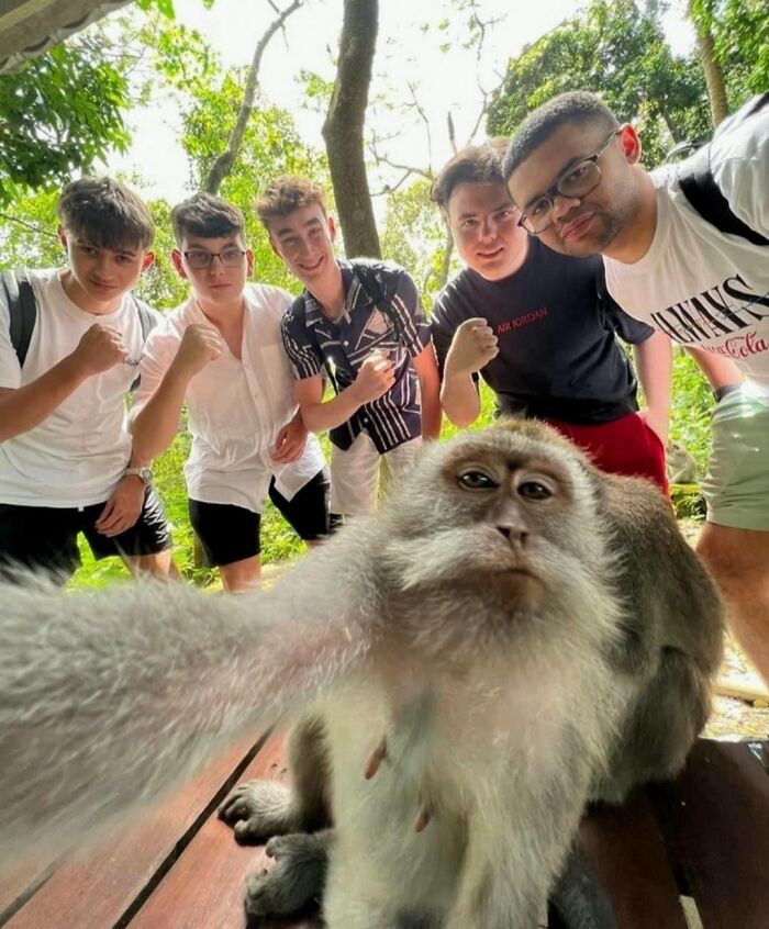 A funny animal monkey taking a selfie with five young men in a lush green outdoor setting, capturing a funny moment.