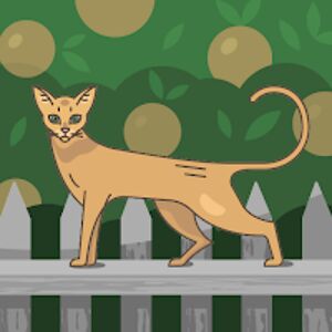 carywollenweber avatar