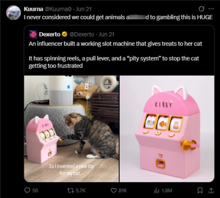 A cat playing with a pink slot machine for treats, part of funny and unpredictable sentences.