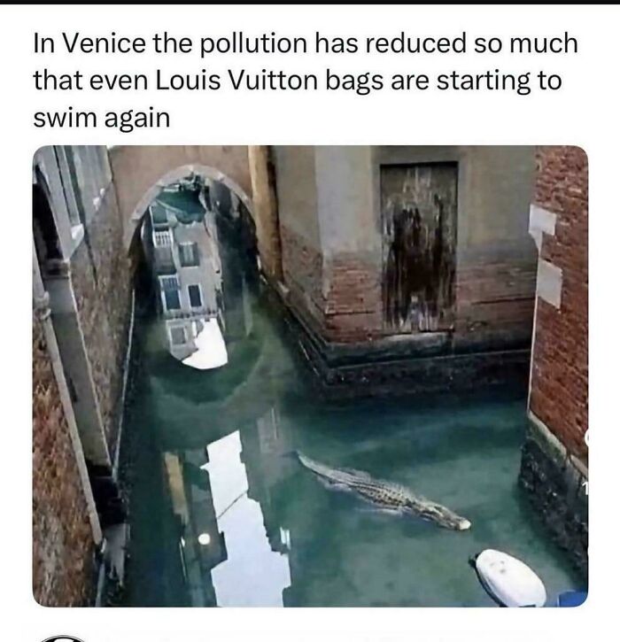 An unpredictable image of a crocodile swimming in a Venice canal due to reduced pollution.