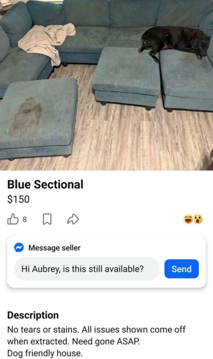 A stained blue sectional sofa with a black dog on it, listed as unhinged marketplace listings.