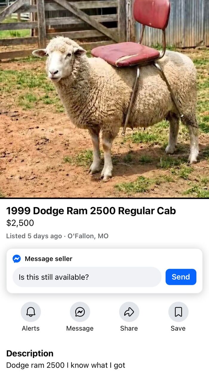 A sheep with a red chair strapped to its back, listed as a 1999 Dodge Ram 2500, an unhinged marketplace listing.