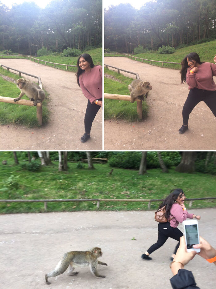 Hilarious photos taken moments before disaster struck: Woman being chased by a monkey.