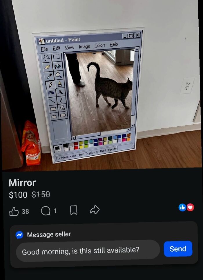 An unhinged marketplace listing features a mirror designed to look like a Microsoft Paint window, showing a cat reflection.