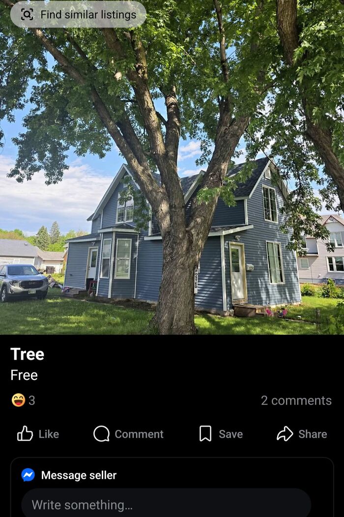 A tree offered for free, an unhinged marketplace listing. Find similar listings.