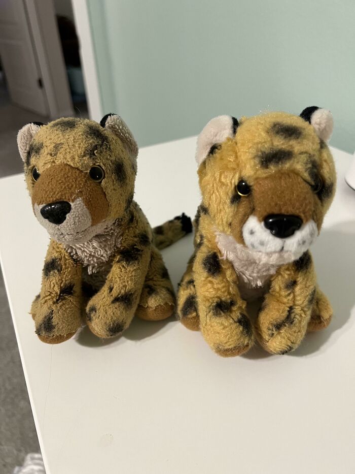 Before and after photos of two cheetah plush toys, one appearing well-loved and worn, the other new, showing how things change.