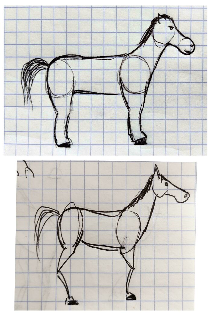 Before-and-after photo of a horse drawing with two different body proportions, showing how much things can change.