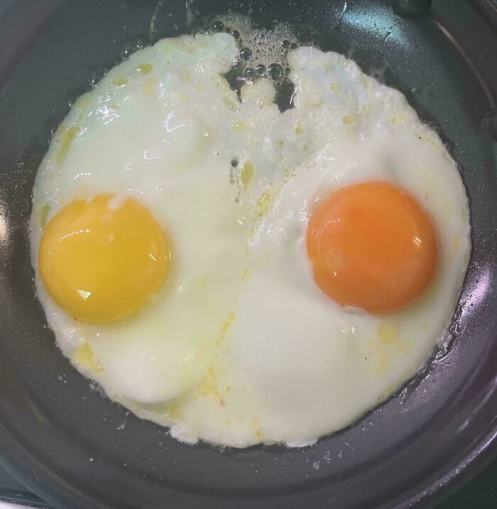 Before-and-after photo of two fried eggs in a pan, one with a yellow yolk and one with an orange yolk, showing variety.