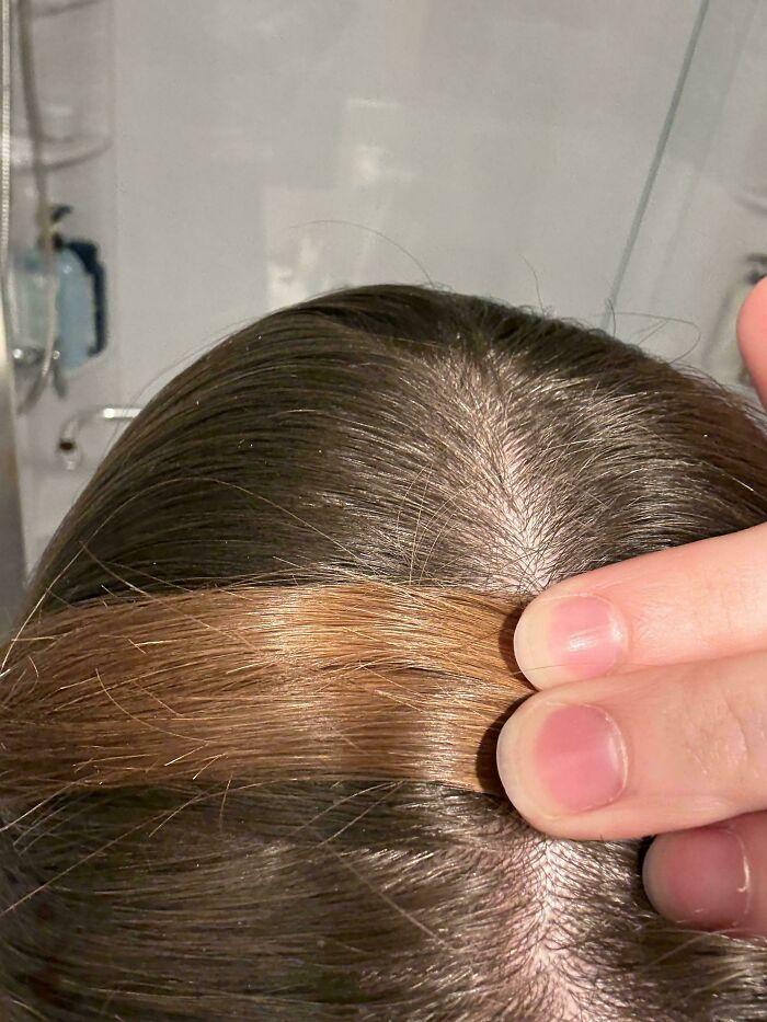 Before-and-after photo of hair, showing new growth versus dyed hair, illustrating how much things can change.