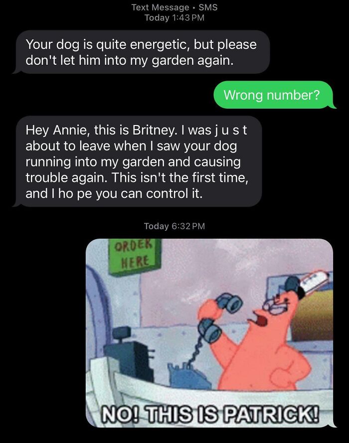 An unhinged wrong number text where someone thinks the recipient's dog is in their garden, featuring a Patrick meme.