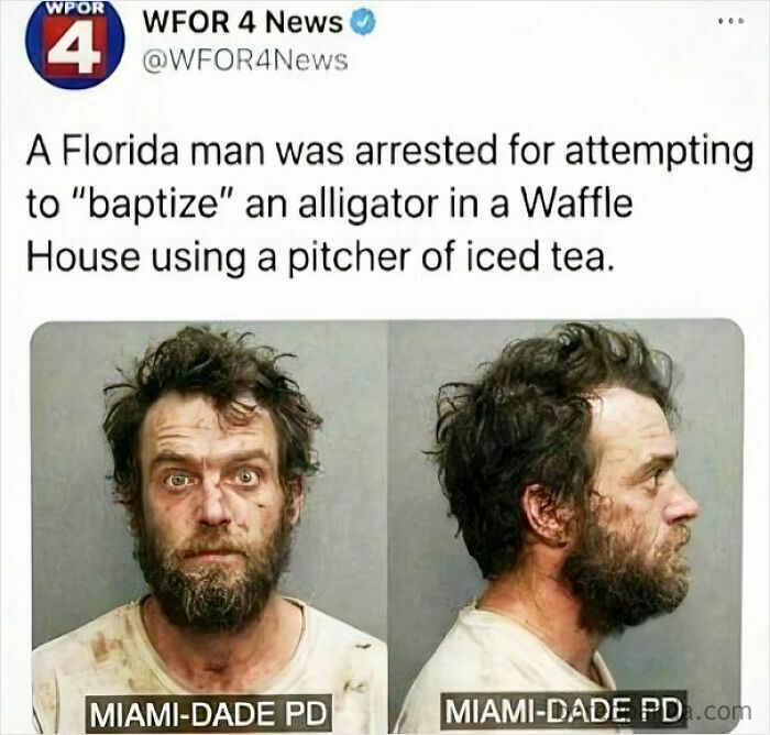 Mugshot of a Florida man arrested for attempting to baptize an alligator with iced tea, a funny and unpredictable sentence.
